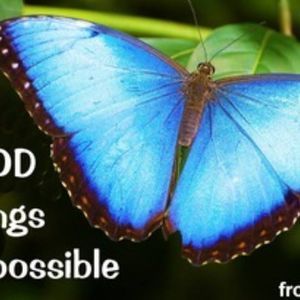 Meet your Posher, Joanna